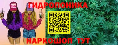 прущие крисы Можга