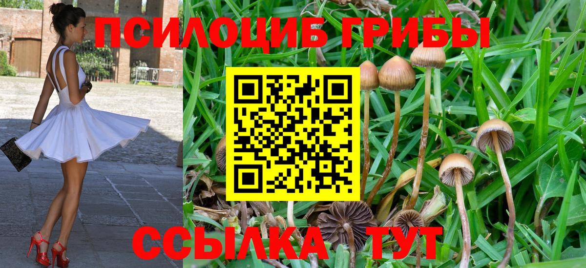 Псилоцибиновые грибы ЛСД Холмск