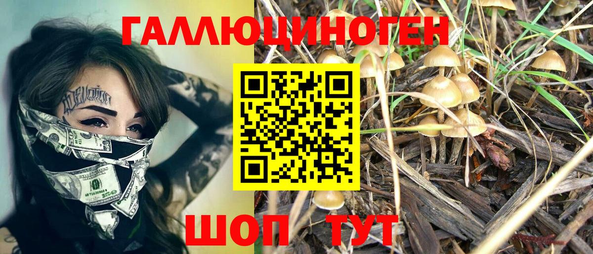Холмск  Галлюциногенные грибы Cubensis  закладка  Вход с VPN 